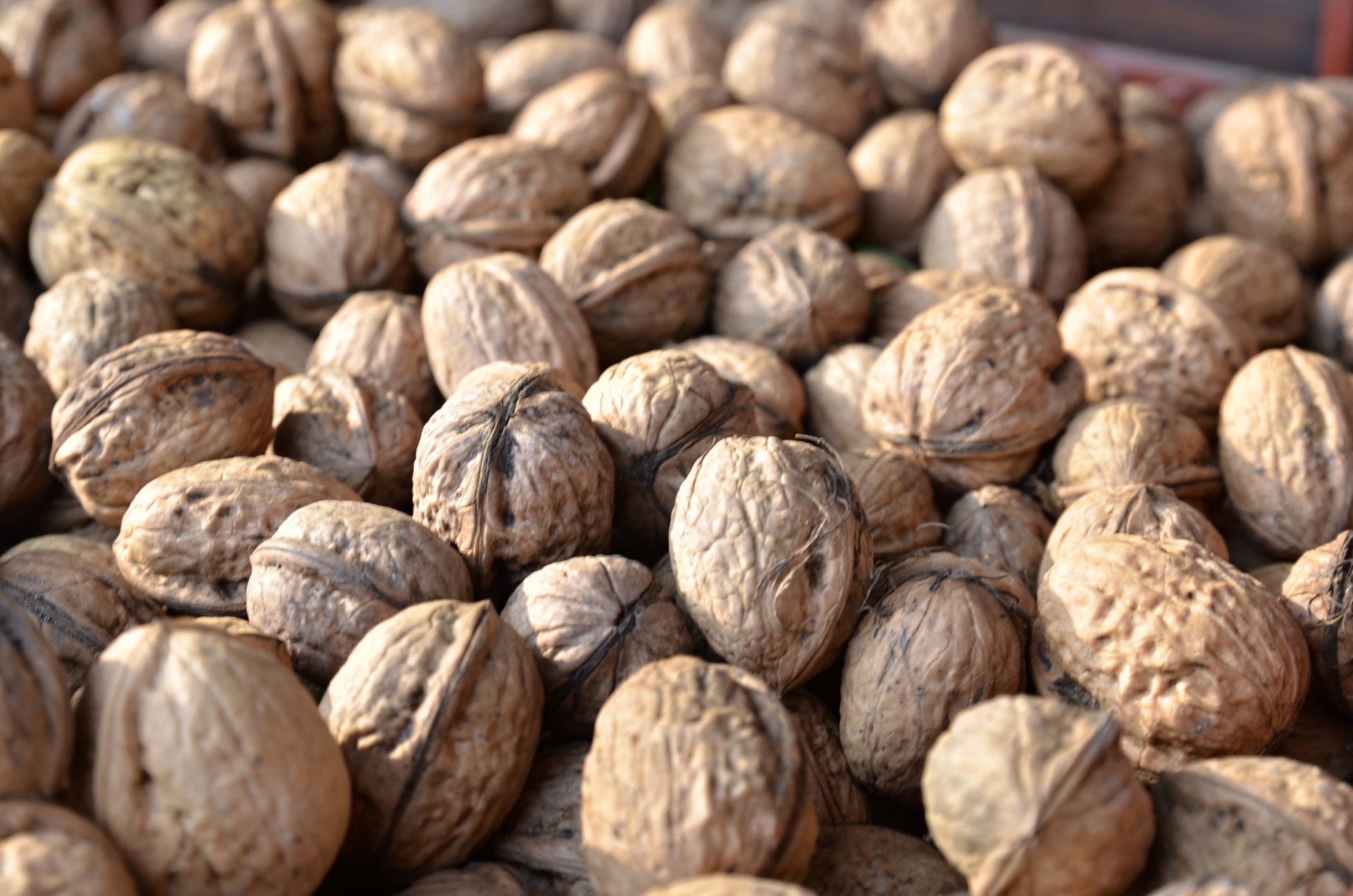 Vlašské ořechy jsou pro naše zdraví velmi přínosné