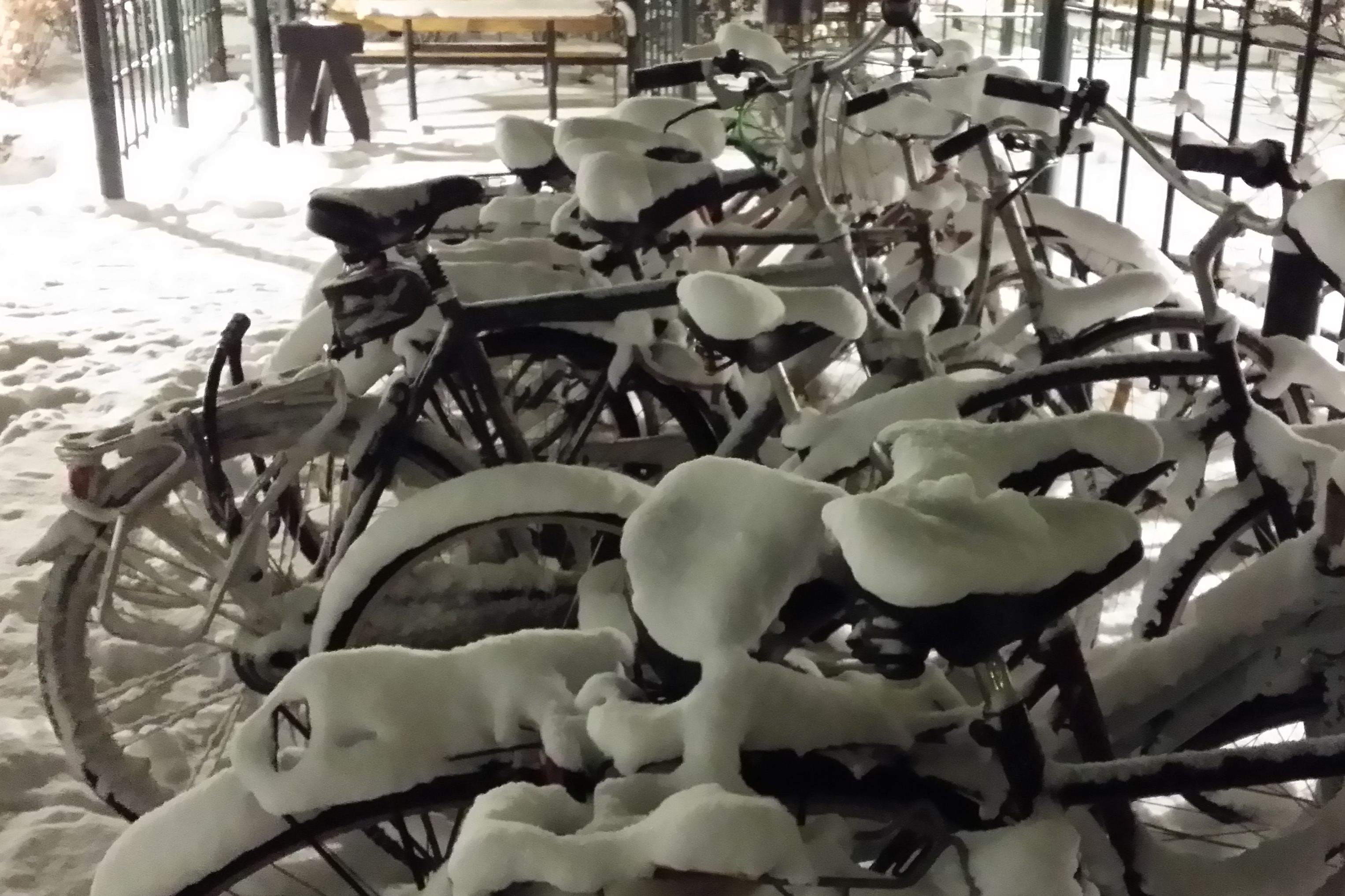 Švédové vyrážejí na kolo za každého počasí