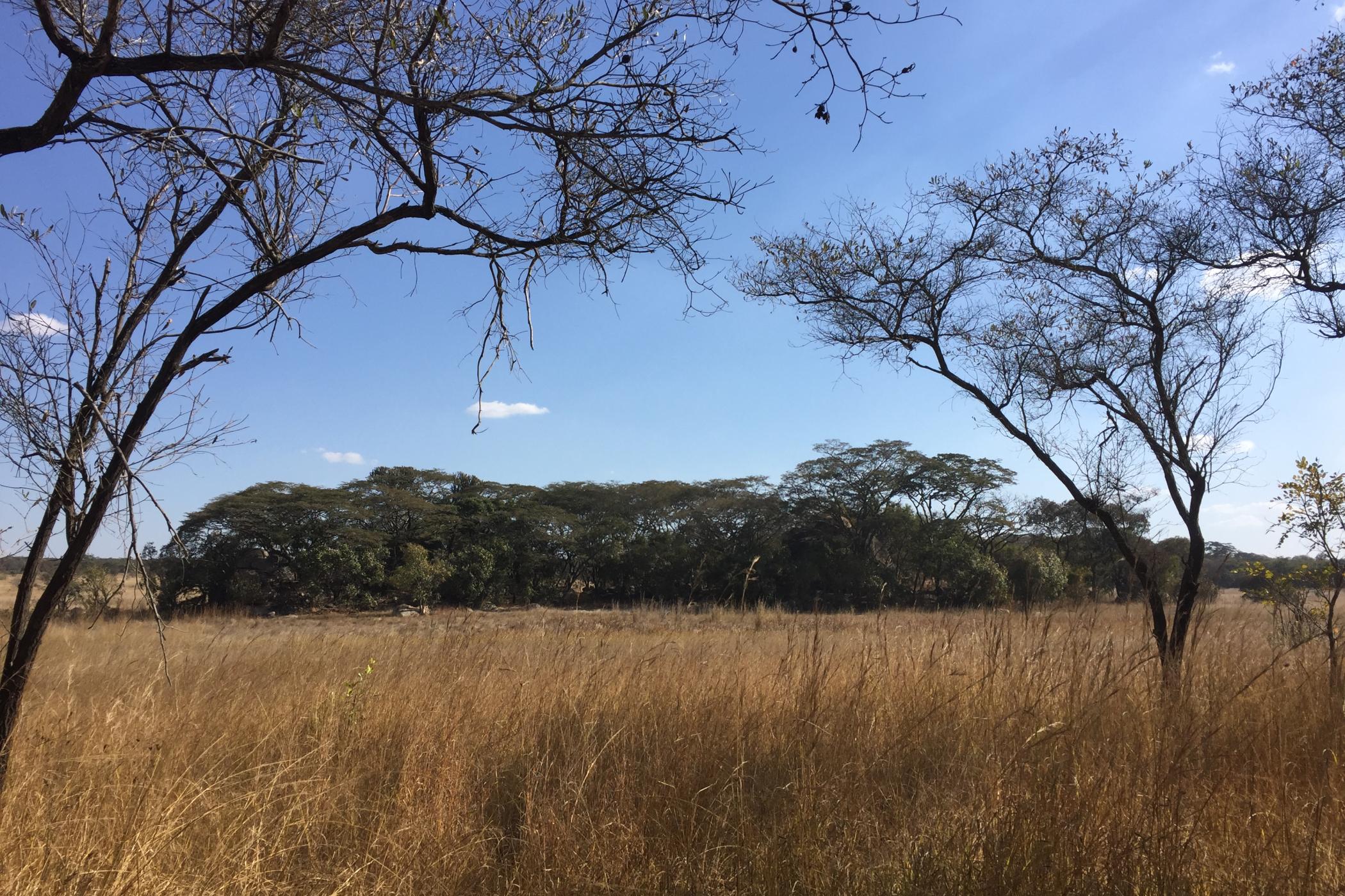 Přírodní park Chivero v Zimbabwe teprve čeká, až ho turisté objeví.