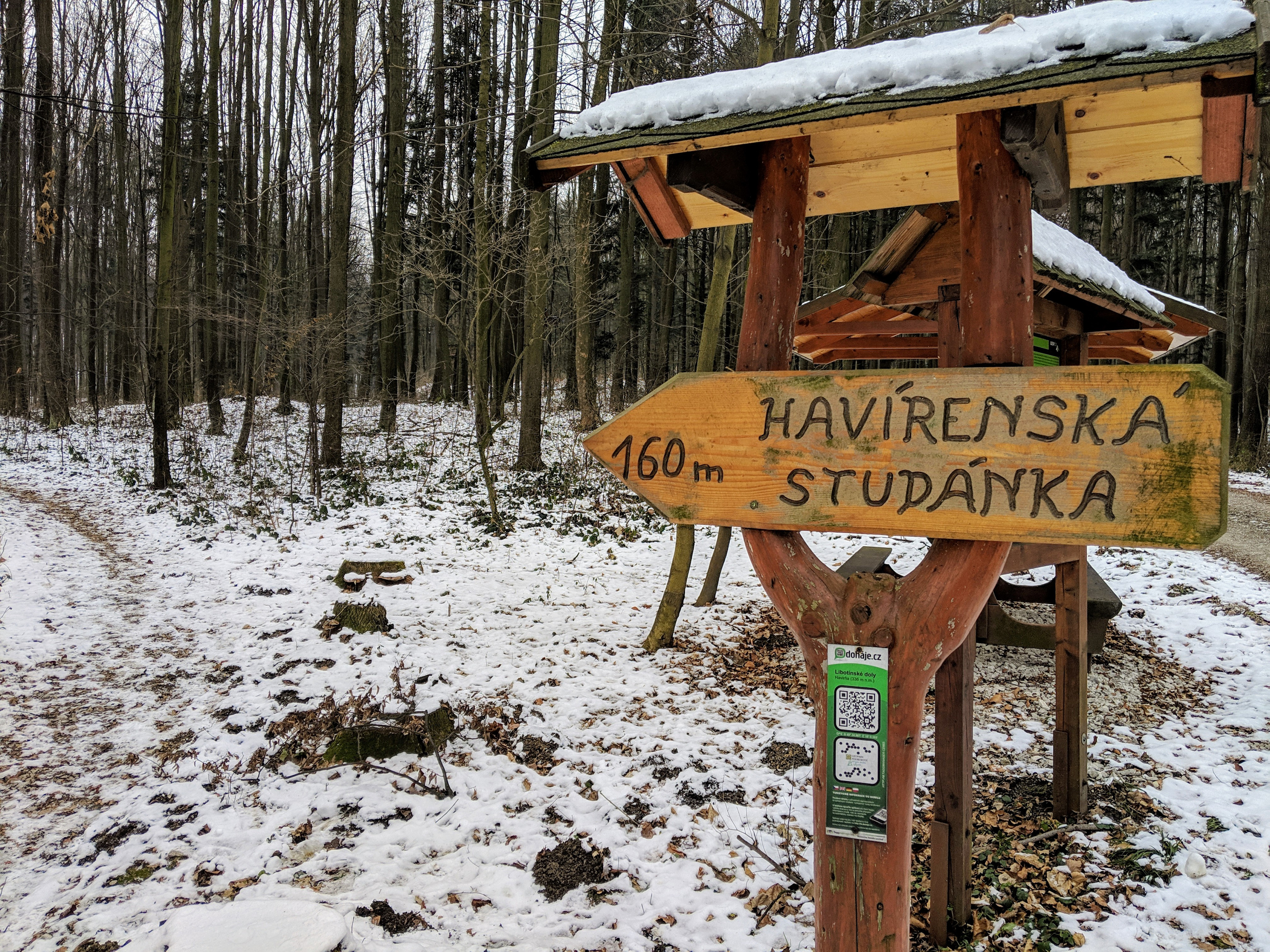 Les u Libotína je plný hald a děr po těžbě železa Les u Libotína je plný hald a děr po těžbě železa