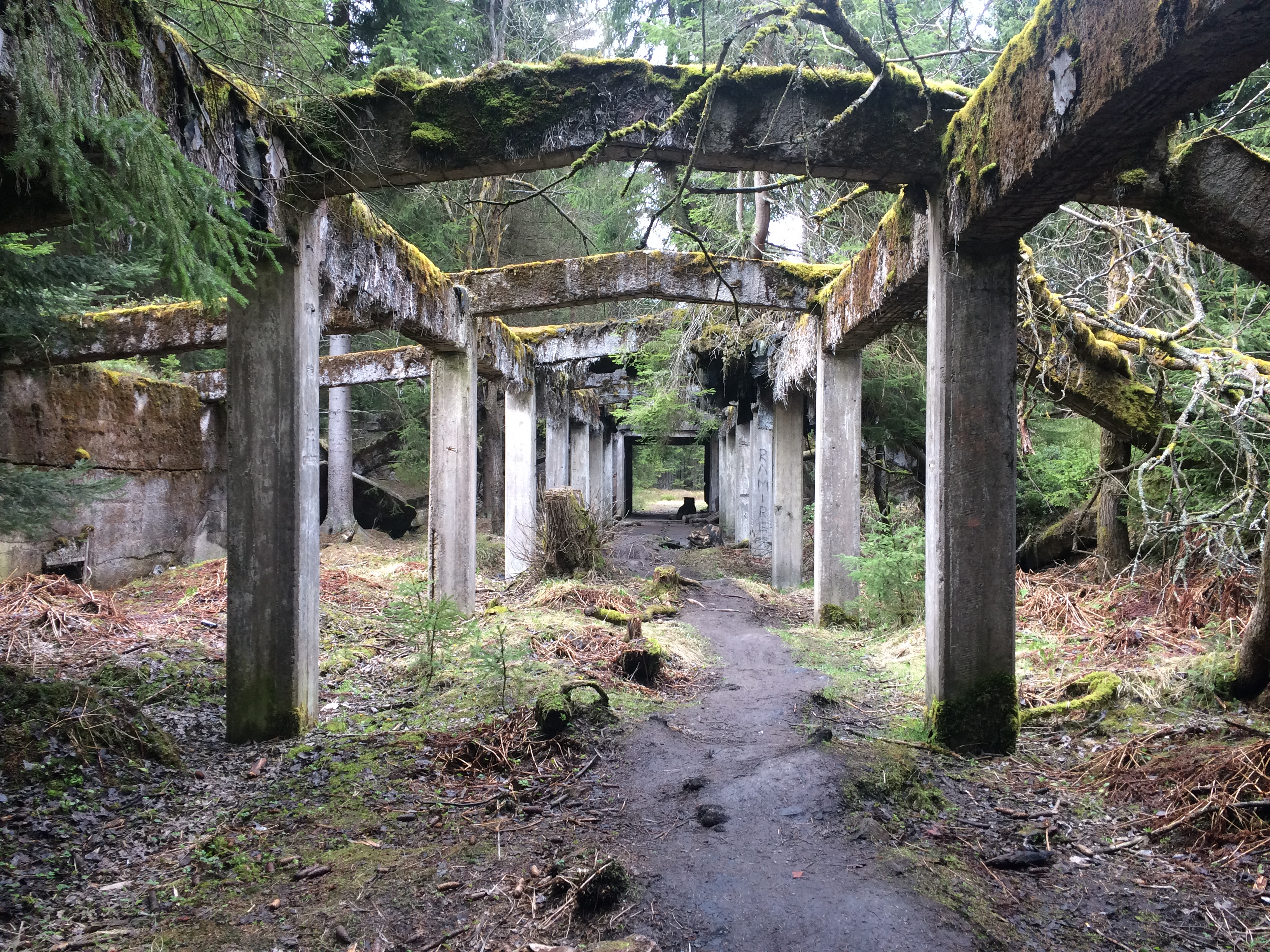 Na německé hranici u Přebuzi v nadmořské výšce přes 900 metrů stojí uprostřed rozsáhlých rašelinišť ruiny opuštěné nacistické továrny