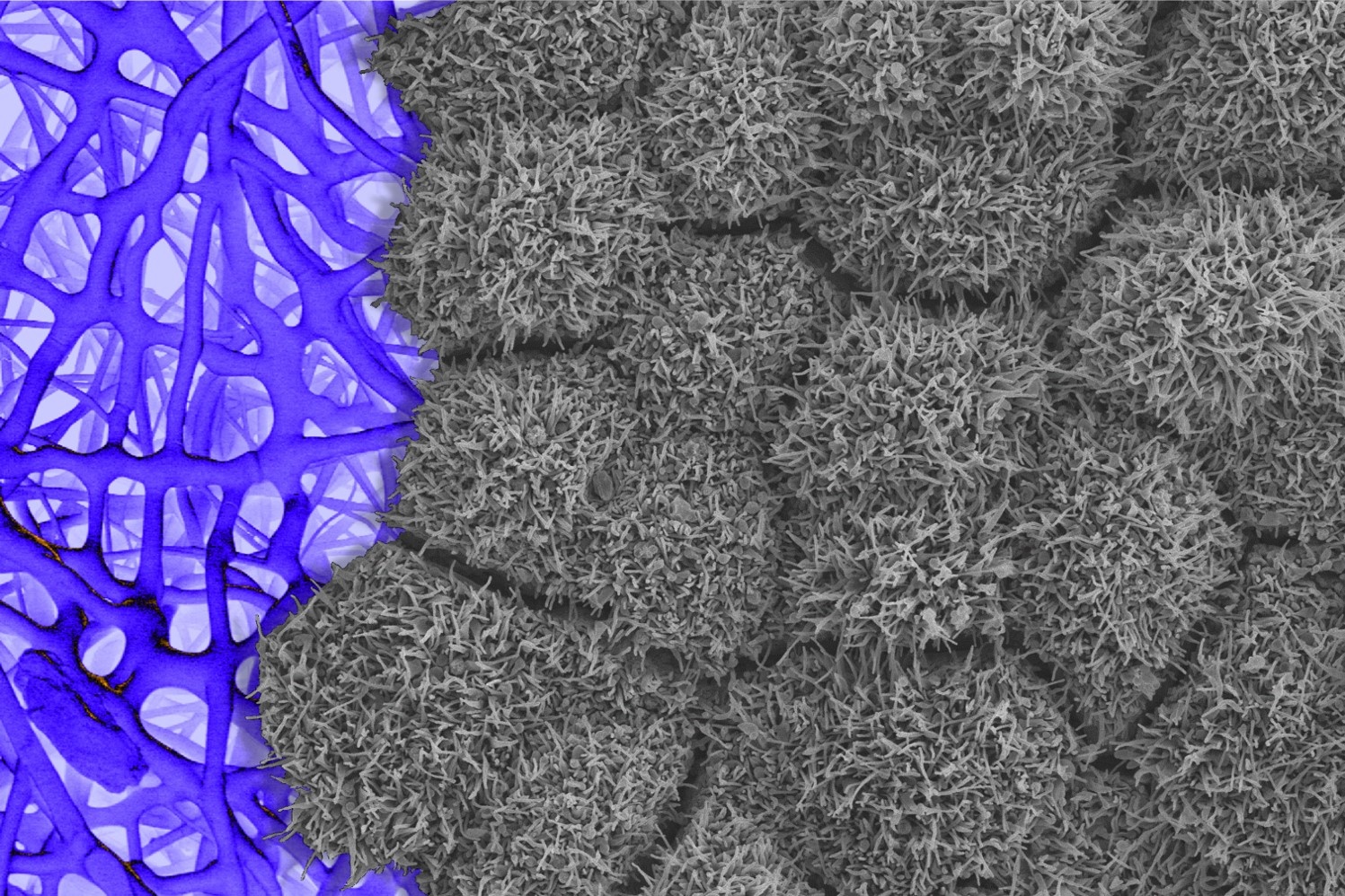 Nanovláknová struktura (ilustrační snímek)