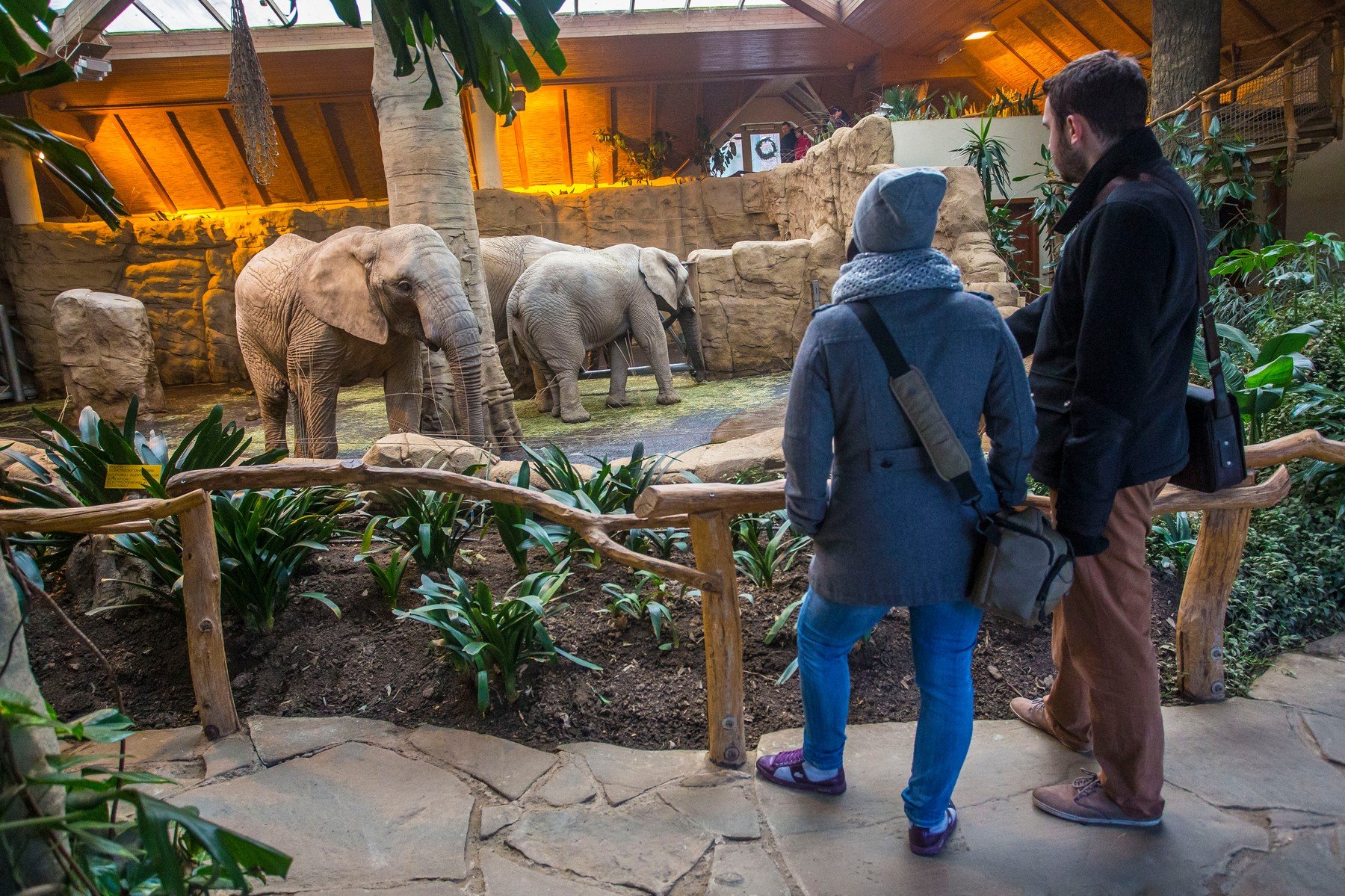 Pavilon slonů ve zoologické zahradě Zlín Pavilon slonů ve zoologické zahradě Zlín