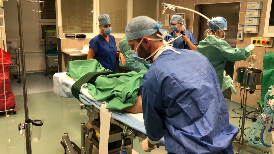 Příprava transplantace orgánů v pražském IKEMu