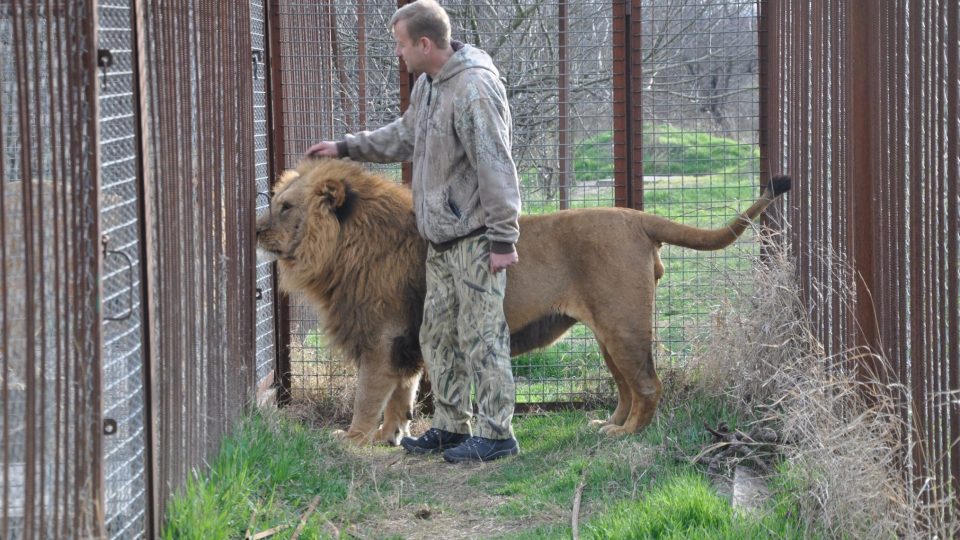 Oleg Zubkov s jedním ze svých milovaných lvů