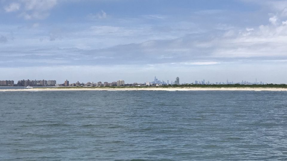 Silueta mrakodrapů na obzoru a velryby jen kousek od výletní lodi. I to je zážitek, který si v posledních letech můžete odvézt z New Yorku.