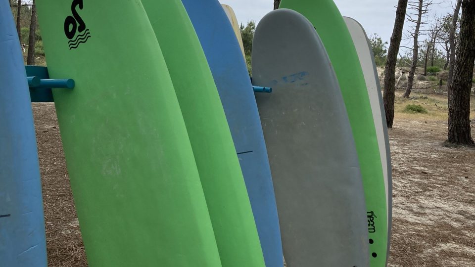 Surfařská prkna, která patří škola So Nice Surf, se dají pronajmout