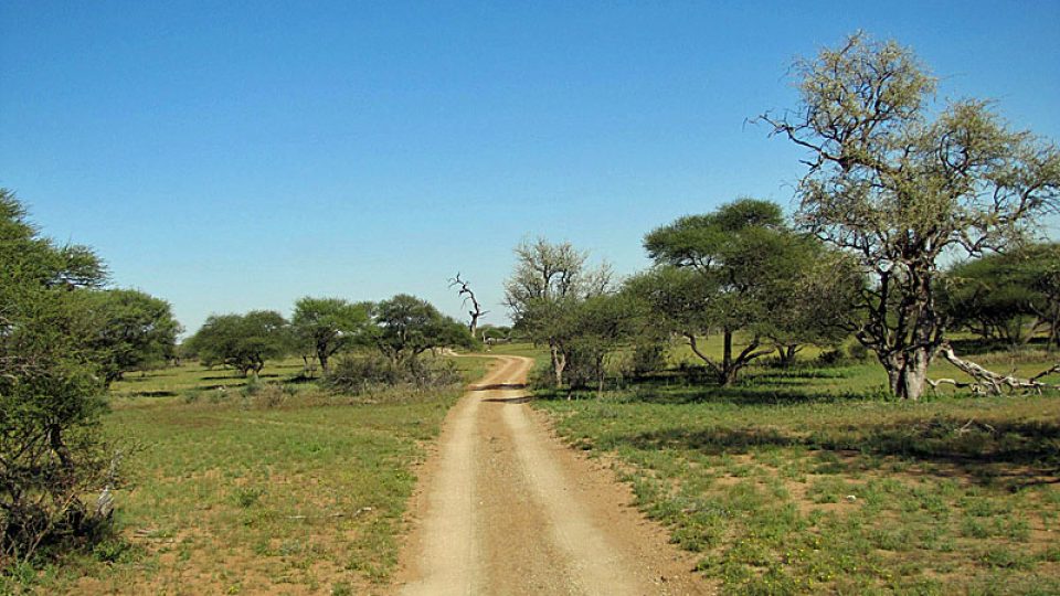 Cesta na farmu Limpopo
