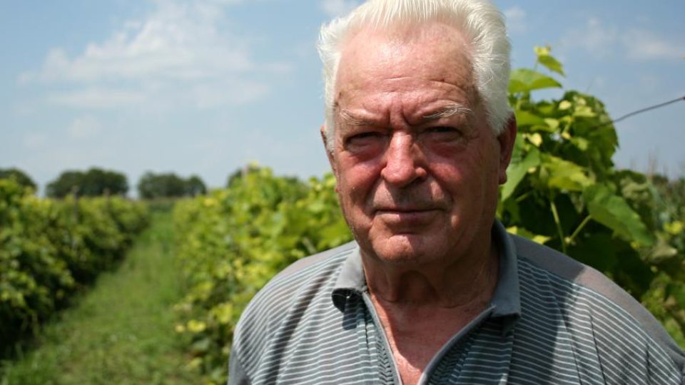 Moldavský vinař Vasilij Něsterov