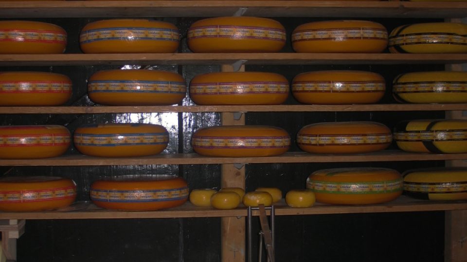 Jednotlivé druhy se u goudy podobně jako u jiných sýrů odlišují podle doby zrání