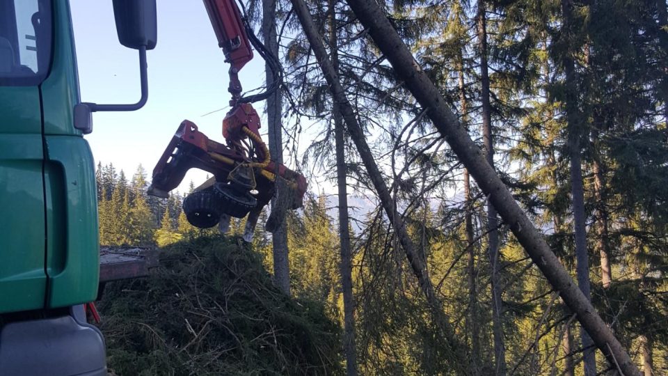 Lesníci v Rakousku využívají nejmodernější technologické postupy