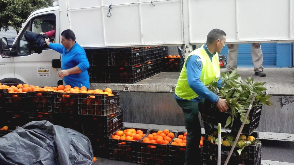 Muži skládají přepravky s pomeranči do dodávky. Denně si přijdou na 40 až 45 eur