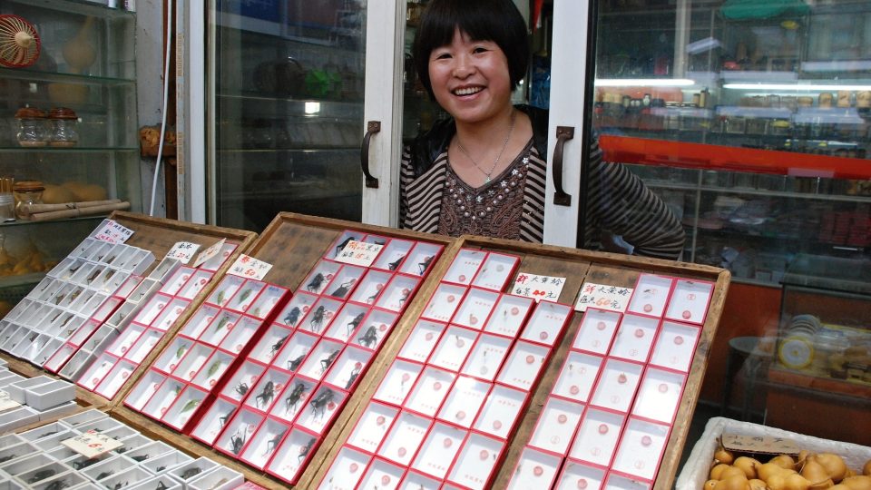 Jak tvrdí hmyzí obchodnice Čju Čju  Šin, v Šanghaji prý lidé hmyz milují