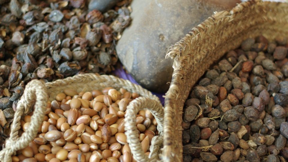 Arganové ořechy a vyloupaná jádra