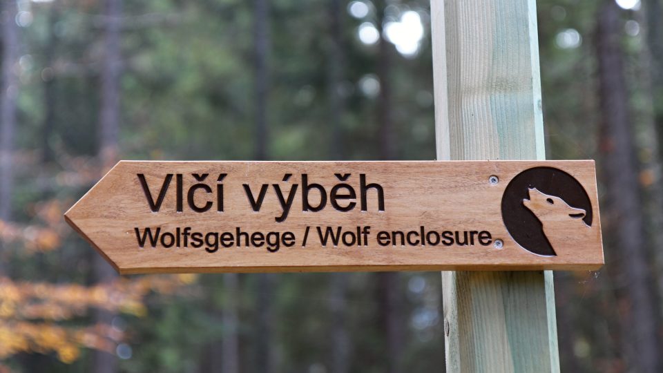 U návštěvnického centra začíná i venkovní okruh s informačními tabulemi, který vede až výběhu vlků