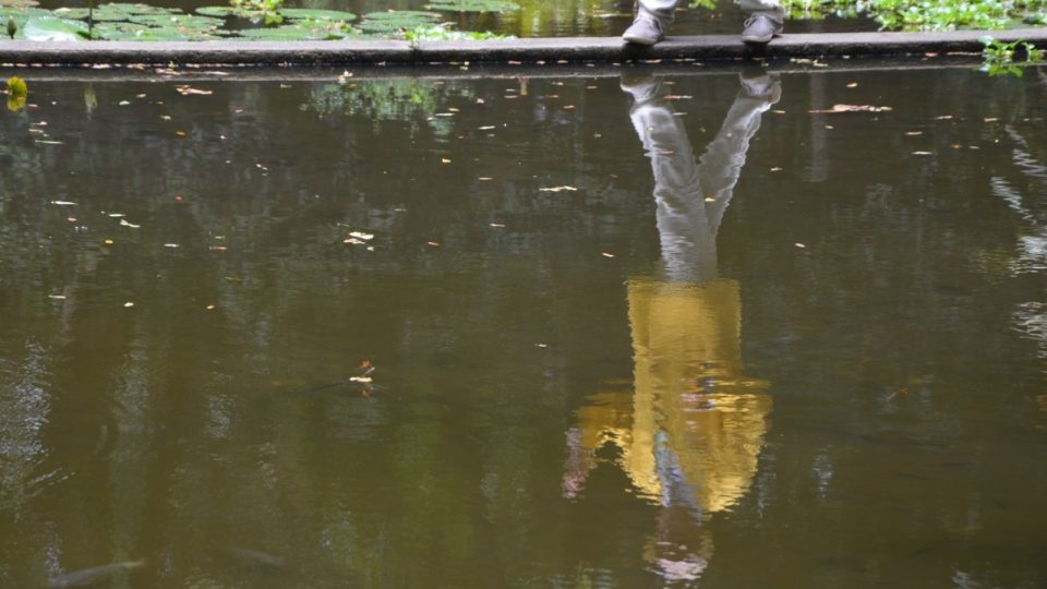 Natáčet Šumné stopy není vždy zcela bezpečné. David Vávra by mohl vyprávět.