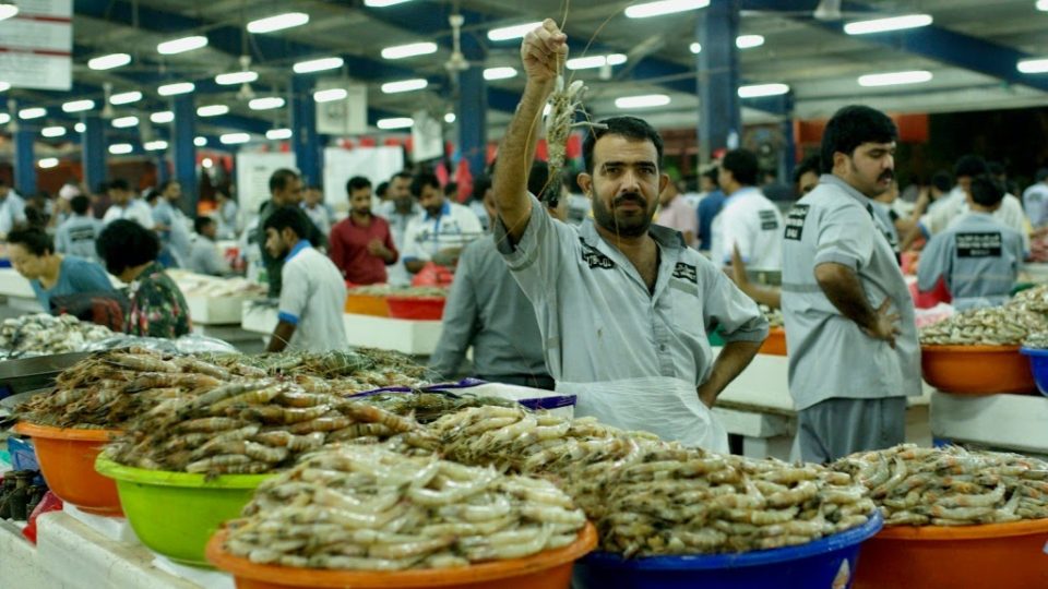 Rybí trh v dubajské Deiře nabízí nepřeberné množství plodů moře