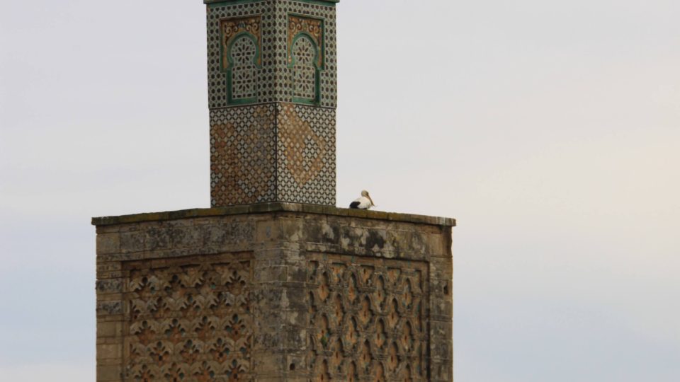 Minaret, starý více než 700 let, je současně nejvyšší stavbu celého komplexu
