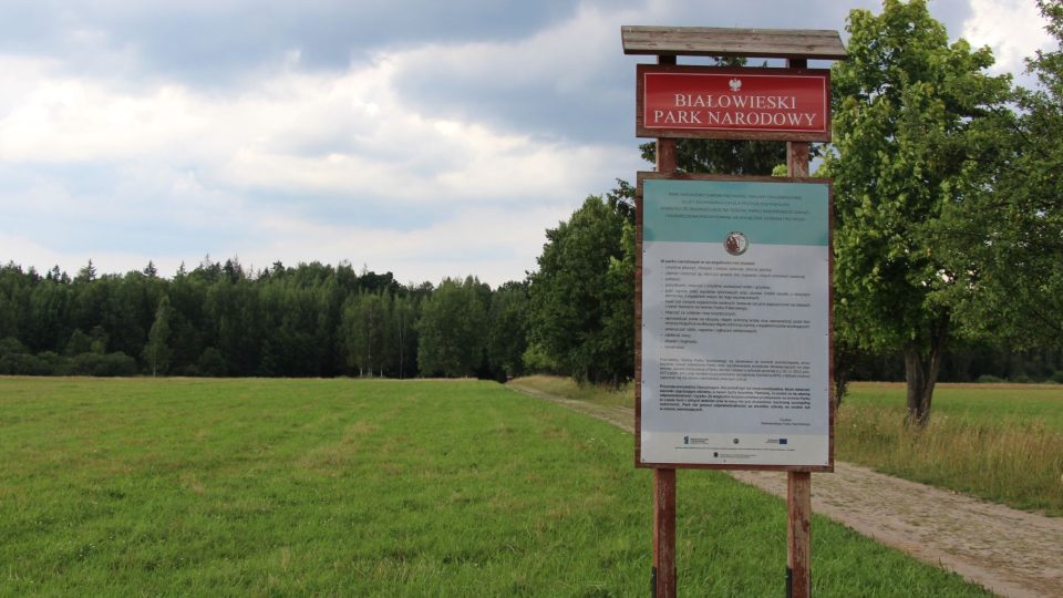 Polským národním parkem je pouze část Bělověžského pralesa