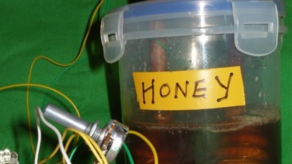 Med je zajímavý vodič, říká včelař-hudebník Bioni