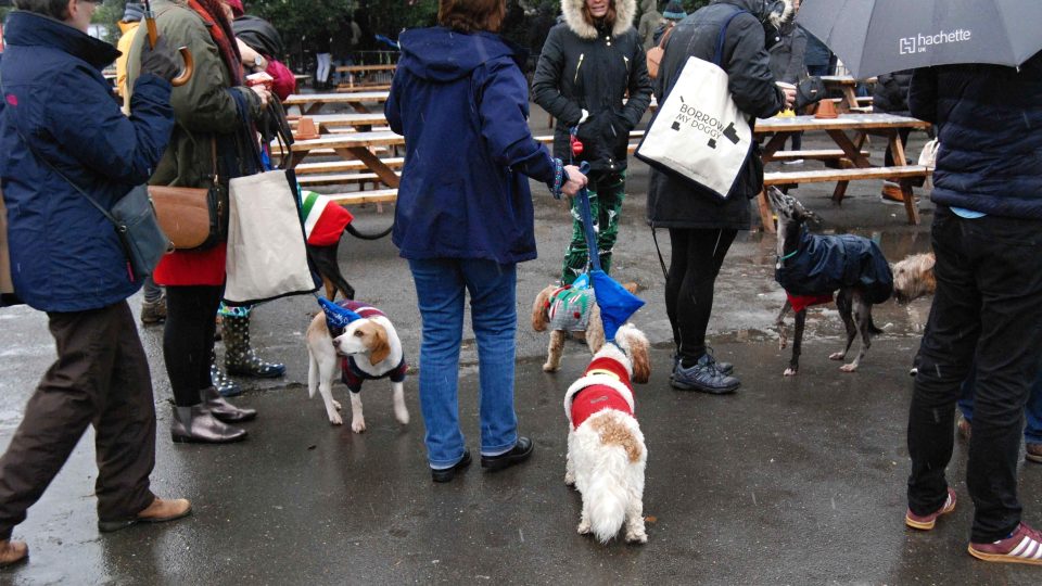 Psů ve vánočních svetrech se na jihu Londýna sešly asi tři stovky a vytvořily světový rekord
