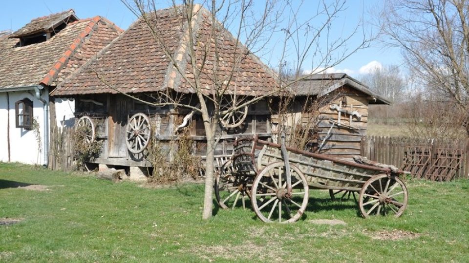 Venkovské zátiší na oslí farmě Slobodana Simiče