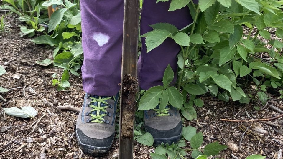 Odběr půdního vzorku z metrové hloubky
