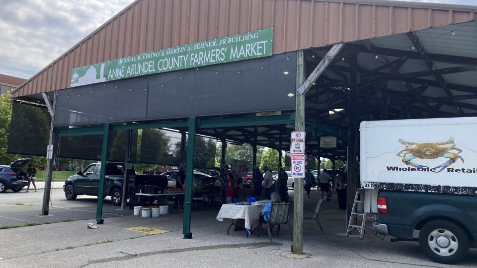Správa trhu uděluje umístěnky na jednotlivé tržní dny uvážlivě, aby najednou nebyli pod střechou na okraji Annapolisu jen samí pekaři cukroví, samí zelináři nebo výrobci mýdel