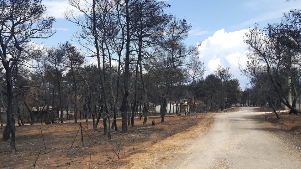 Příbuzní dvou obětí lesních požárů u Atén, při nichž minulý týden zemřelo 92 lidí, zažalovali úřady, civilní obranu i místní policii kvůli zodpovědnosti za smrt jejich blízkých.