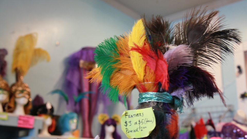 Peří, korálky a pestré barvy, to je základní výbava každého účastníka karnevalu