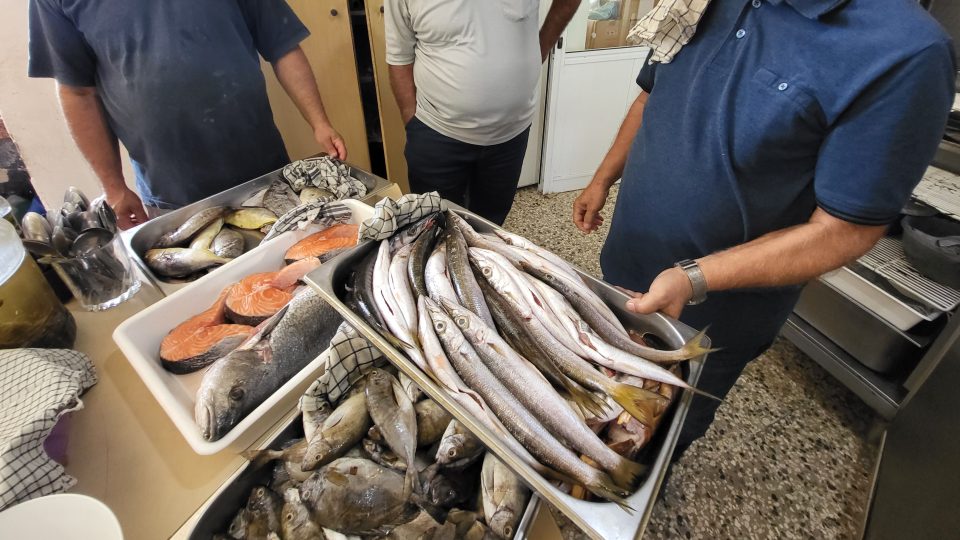 Ryby kupují Zafer s Nikosem každé ráno na trhu od místních rybářů