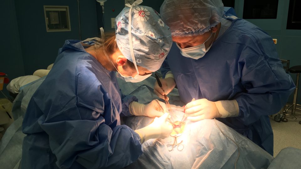 Během operace Eva Brichtová stimuluje bloudivý nerv pomocí elektrody, což slouží ke zmírnění epileptických záchvatů