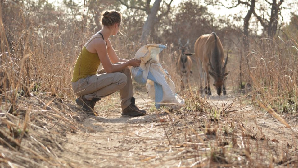 Češi pomáhají v Senegalu zachraňovat antilopu Derbyho