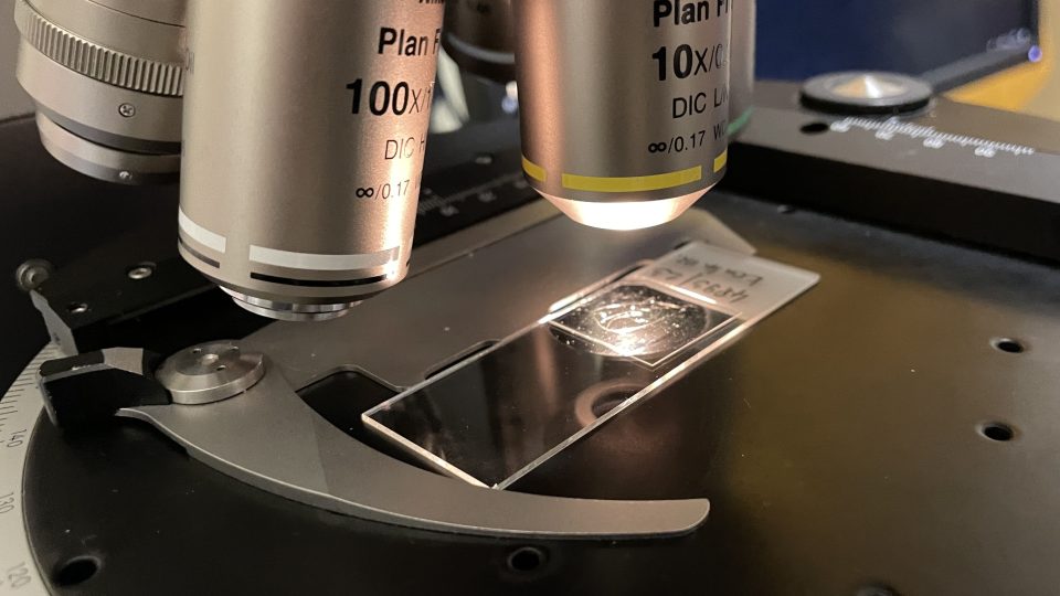 Optický mikroskop snímá vzorek a provádí obrazovou analýzu