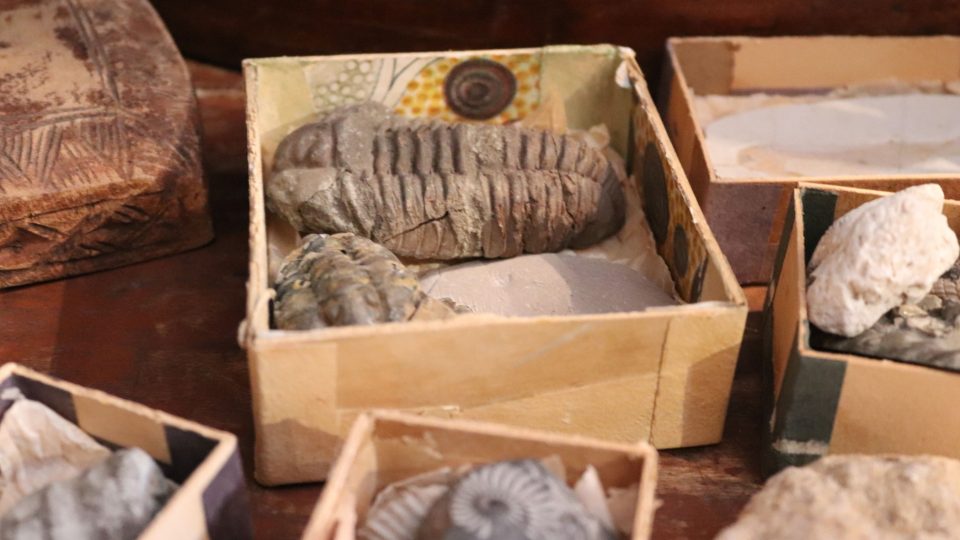 Vetešník Thomas má ve své sbírce i pravěké zkameněliny trilobitů