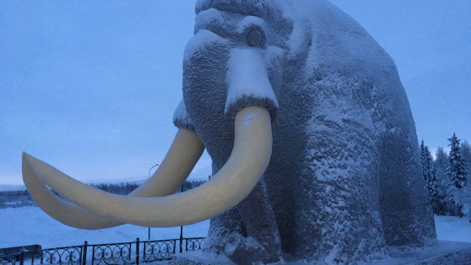 Ruská severní Sibiř a oblasti za severním polárním kruhem bývaly domovem mamuta srstnatého, který vyhynul zhruba deset tisíc let před naším letopočtem