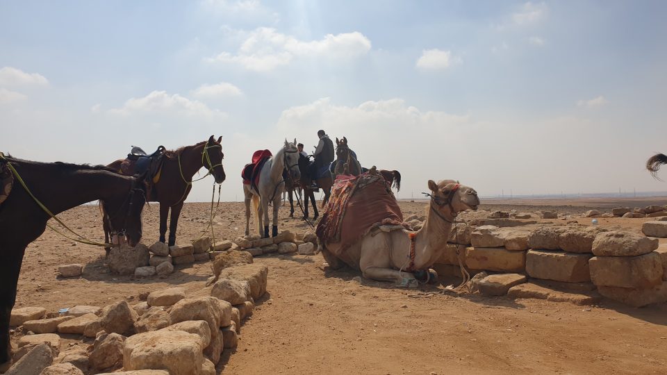 Projížďka na koni do pouště za Gízu je rozhodně příjemný únik z hlučné a špinavé dvacetimilionové egyptské metropole