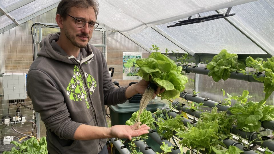 Martin Šrom ukazuje salát, který vyrostl v hydroponickém systému