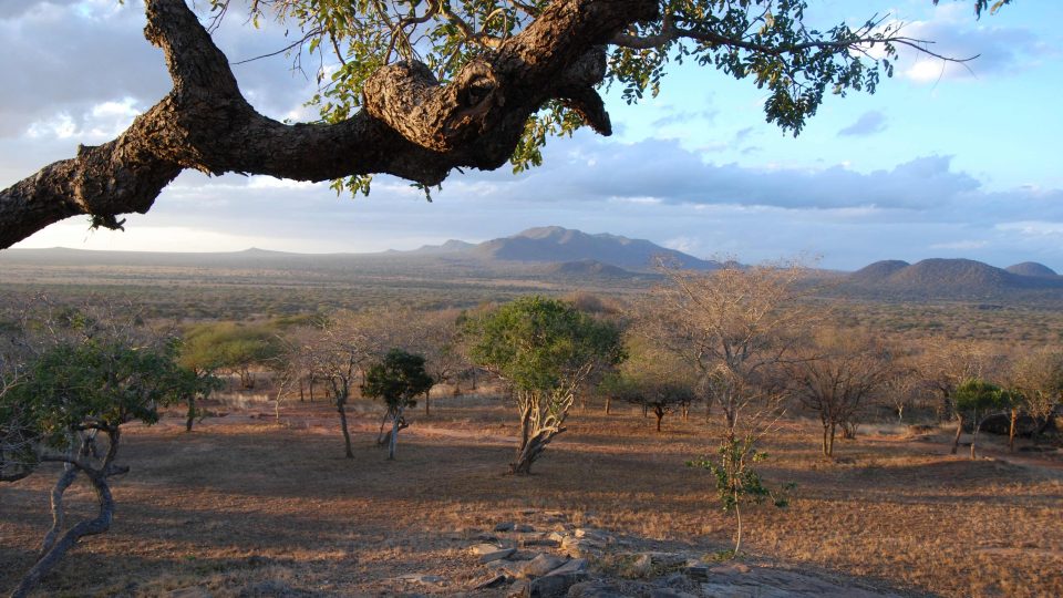 Krajina v Mkomazi v africké Tanzanii