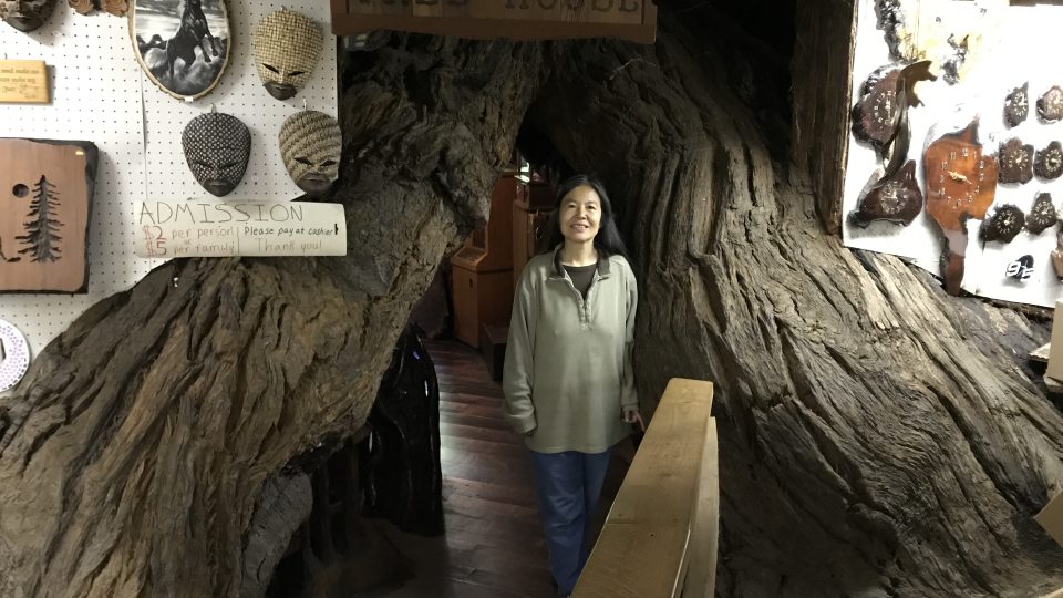 Angela Ying Liu Blackwell se stará o stromový dům a v přilehlém krámku prodává lokální řezbářské výrobky