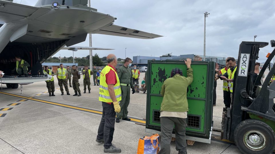 Zelený robustní transportní box, ve kterém je Duni, nakládají pracovníci letiště do českého letounu CASA