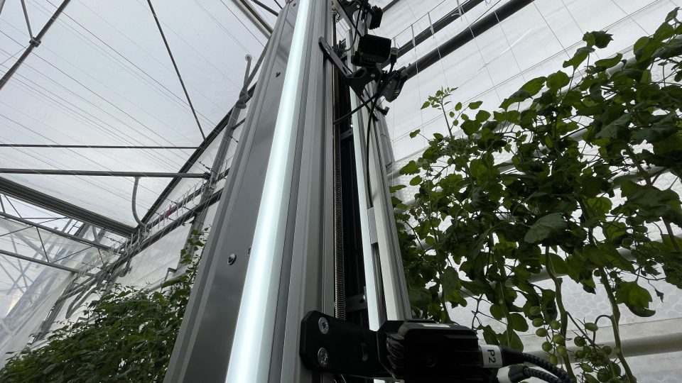 Fravebot specializovaný na pěstování rajčat je vybavený vysokou věží osazenou kamerami