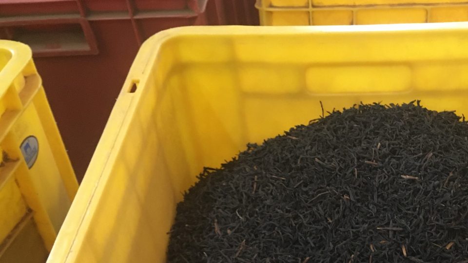 Fermentovaný čaj má tmavě hnědou barvu, jakou známe z našich čajových sáčků