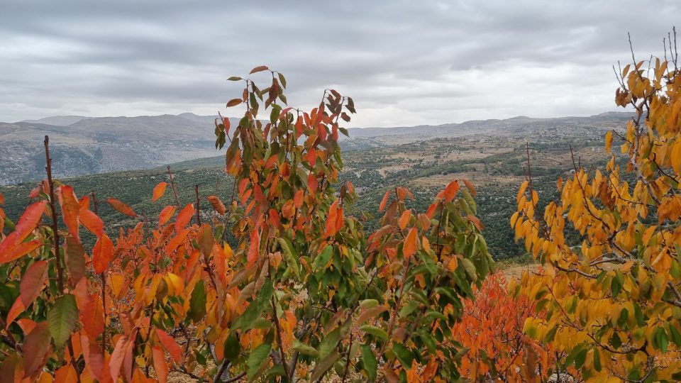 V horách se střídá zeleň se žloutnoucími až červenajícími listy stromů a pěšina je pokrytá vrstvou spadaného listí