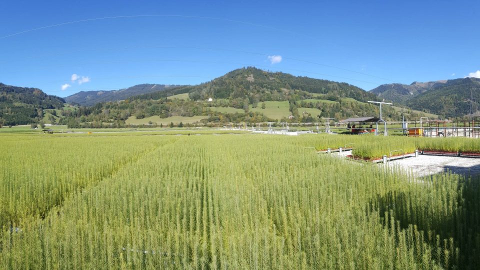 Lesníci v Rakousku využívají nejmodernější technologické postupy