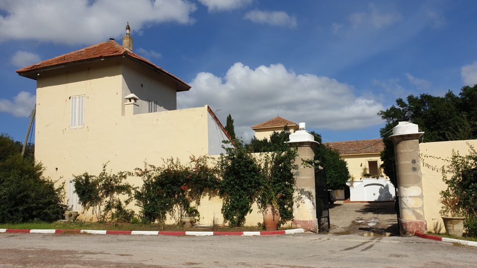 Tuniský mistr vinař má své království ve vinařství Domaine Neferis, asi 30 kilometrů jihovýchodně od Tunisu
