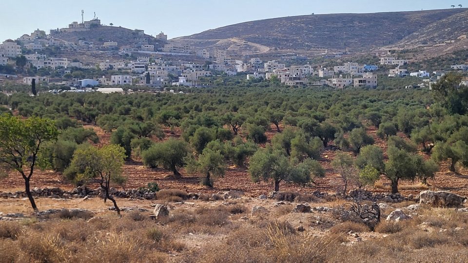 Nad Abd al-Hakímovým sadem je palestinská vesnice Kusra. Na protějším kopci věž s izraelskými vojáky