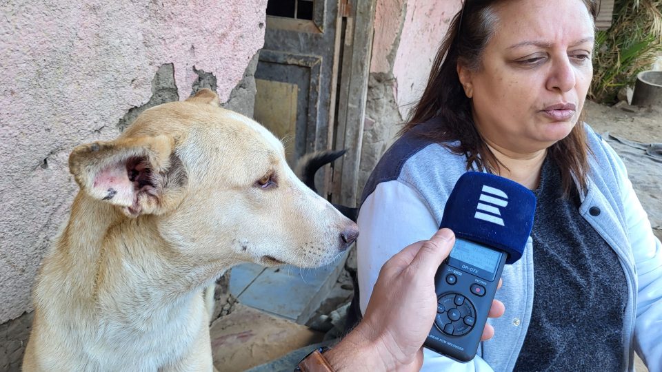Mona Chalílová bývala televizní hlasatelkou, úmrtí vlastní milované kočky ji ale přivedlo na cestu ochránkyně zvířat