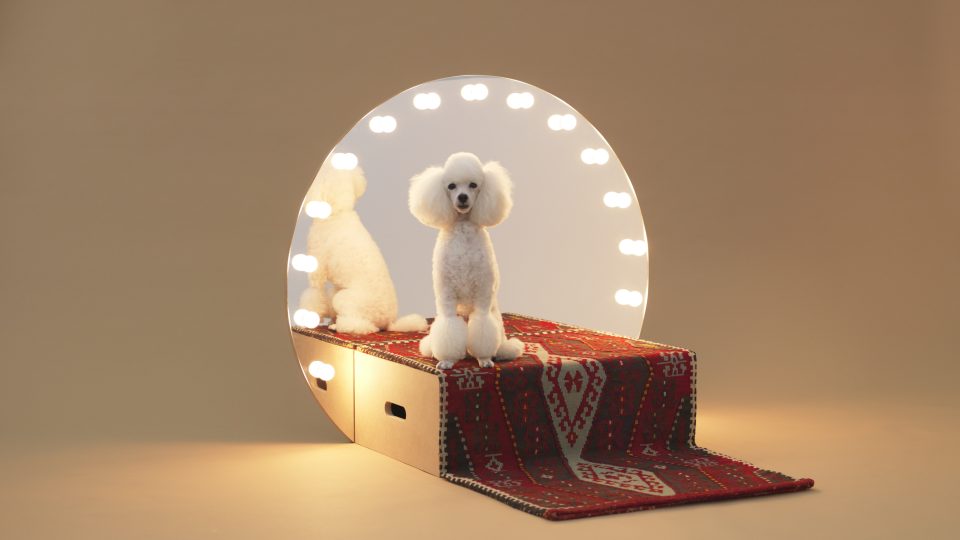 Konstantin Grcic vytvořil zářivé pódium Paramount pro psy, kteří se rádi kochají vlastní krásou