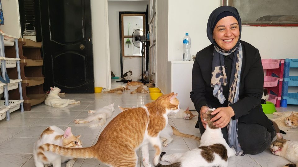 Paní Ímán bere péči o opuštěné kočky jako své poslání
